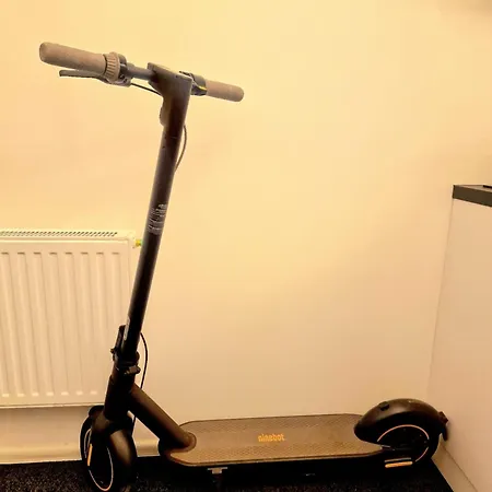 - Renta 16 * 카우나스